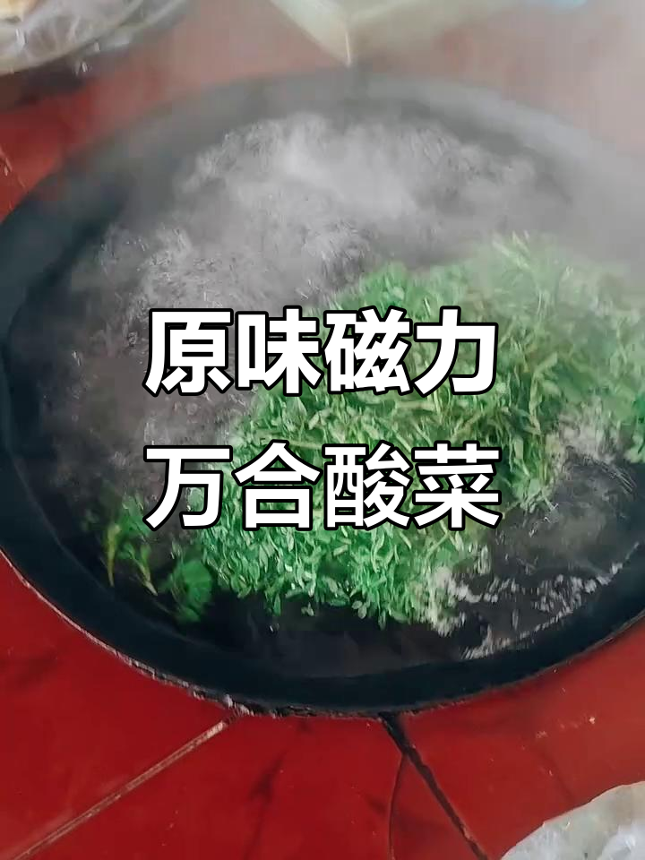 苜蓿菜浆水:原生态绿色食品,酸菜的独特风味