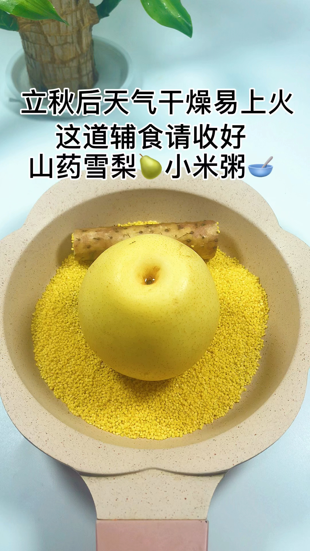 秋季多喝这碗汤清甜健脾润肺山药雪梨小米粥