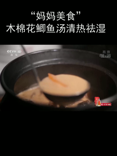 “妈妈美食”木棉花鲫鱼汤清热祛湿