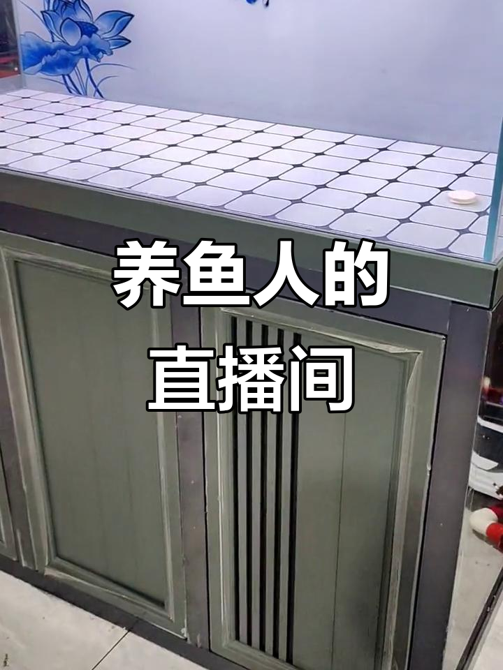 养鱼人是不是也想看我们直播?红龙鱼缸大揭秘