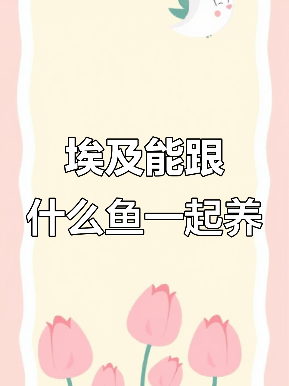 埃及神仙鱼混养指南:哪些鱼类最适合与它共处?