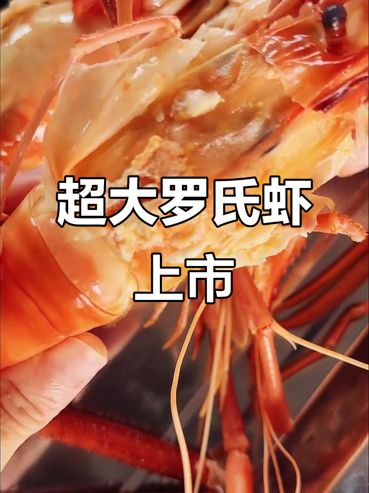 罗氏虾巨无霸,比手臂还大!价格超实惠