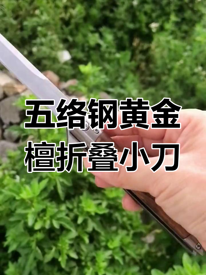 黄金檀木大马士革折叠刀,五络钢材质锋利耐用