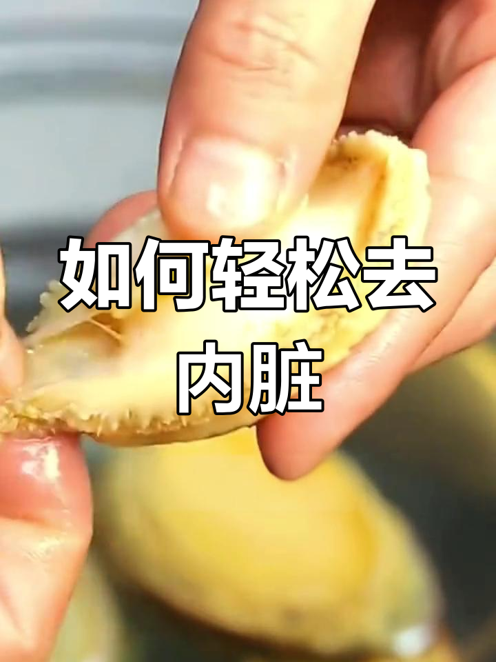 活鲍鱼处理技巧全攻略