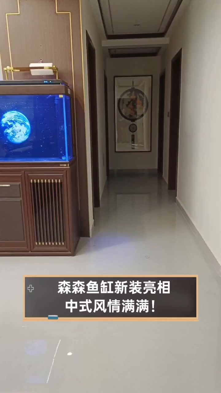 森森鱼缸新装亮相,中式风情满满!