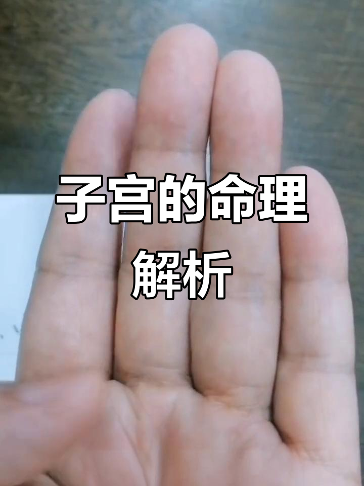 子宫与命理:揭秘癸水、丑公鸡等象征意义