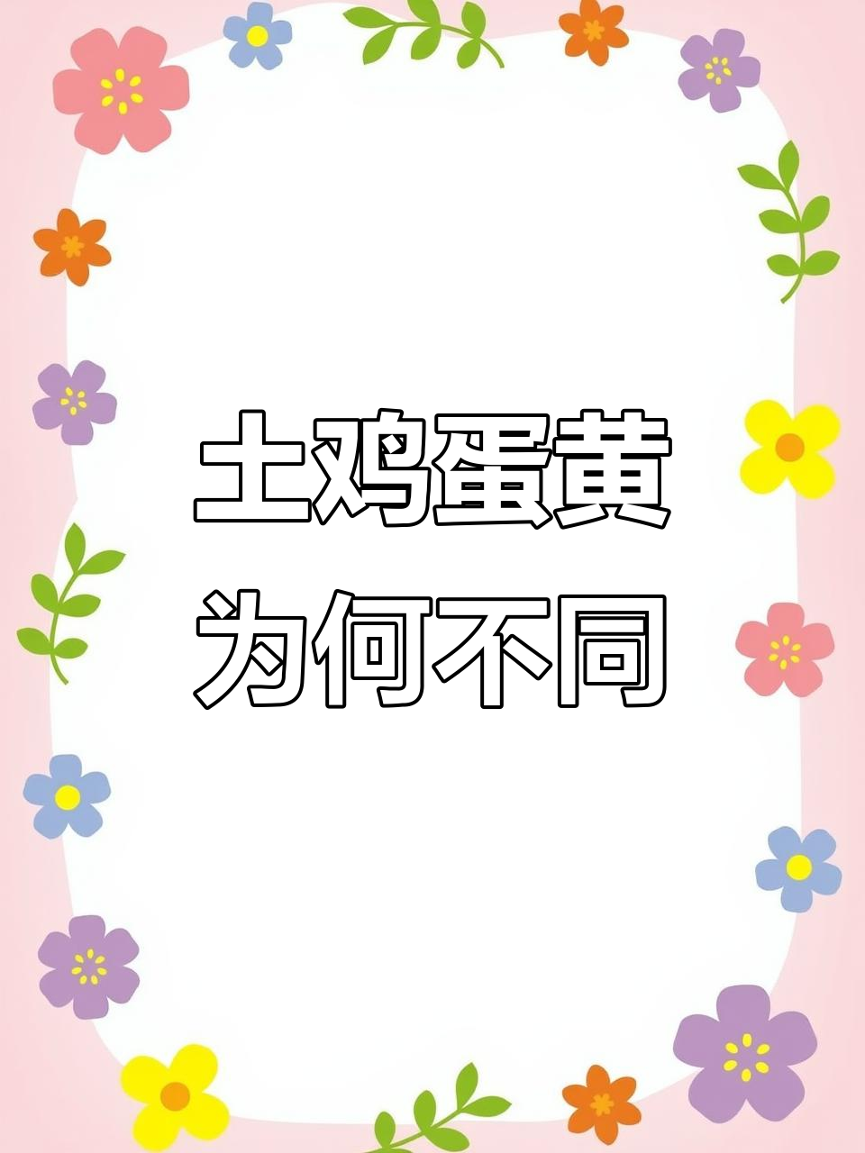 散养土鸡蛋蛋黄颜色不一,竟与鸡食有关