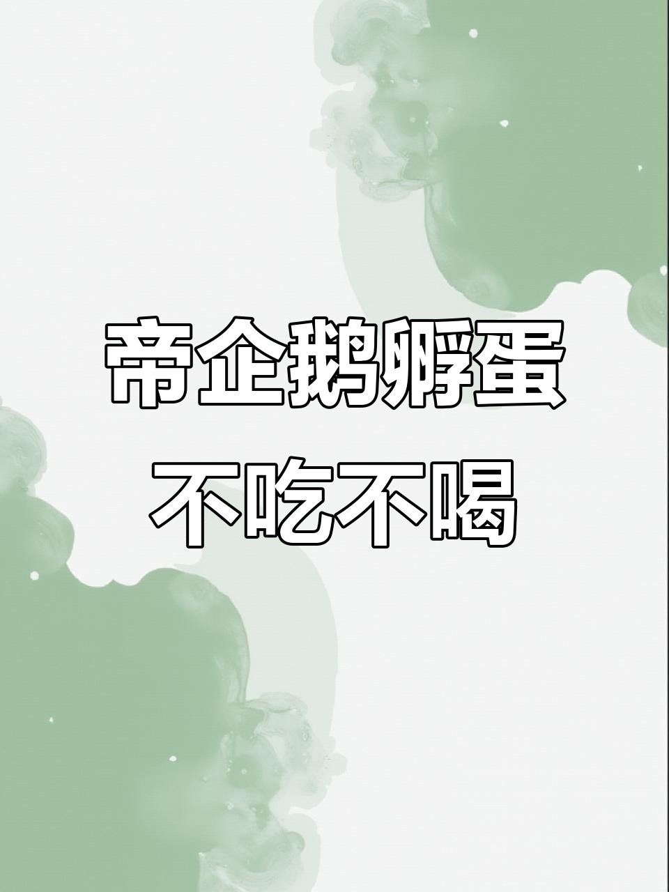 帝企鹅爸爸忍饥挨饿两个月,只为孵化小宝宝