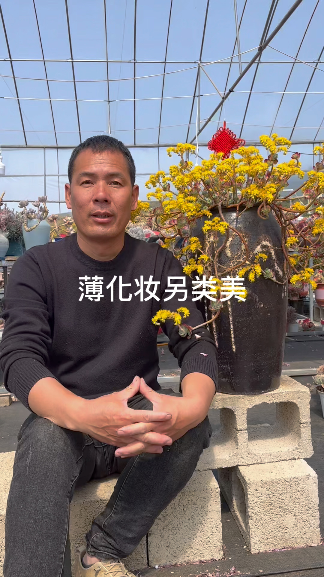 薄化妆花蕾现色前喷杀蚜虫药预防开花后蚜虫危害