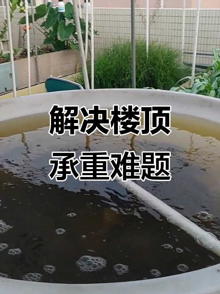 楼顶鱼菜共生生态园设计：承重问题如何解决