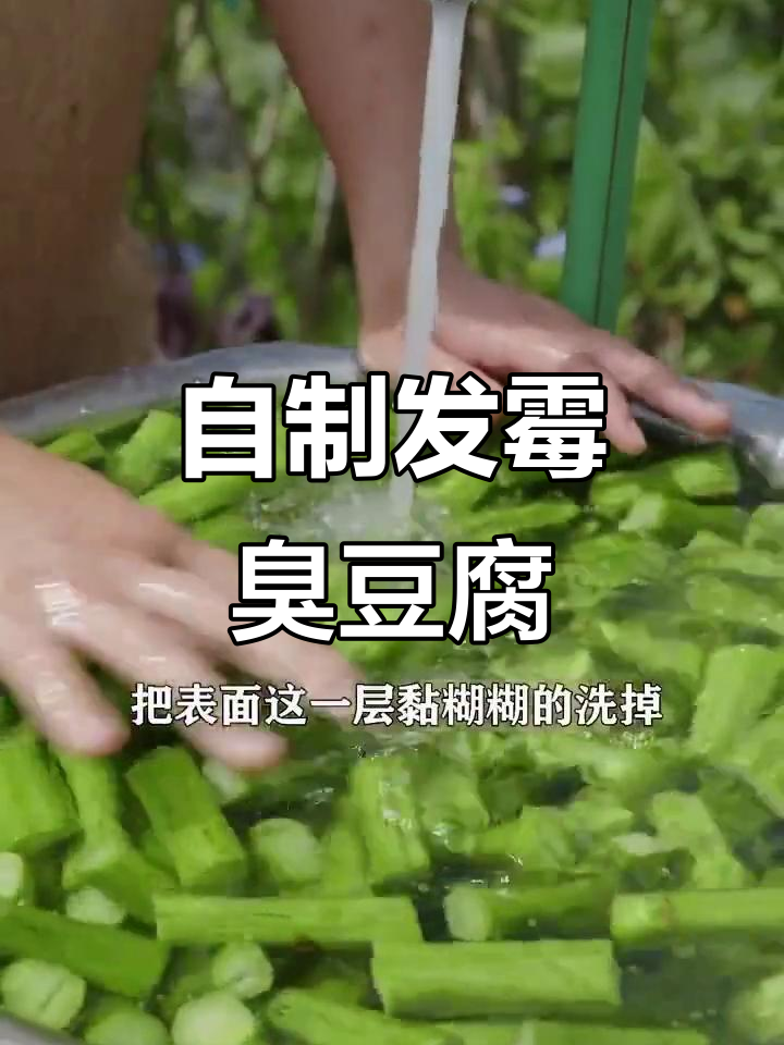 霉苋菜梗发酵臭豆腐制作全流程，简单又美味