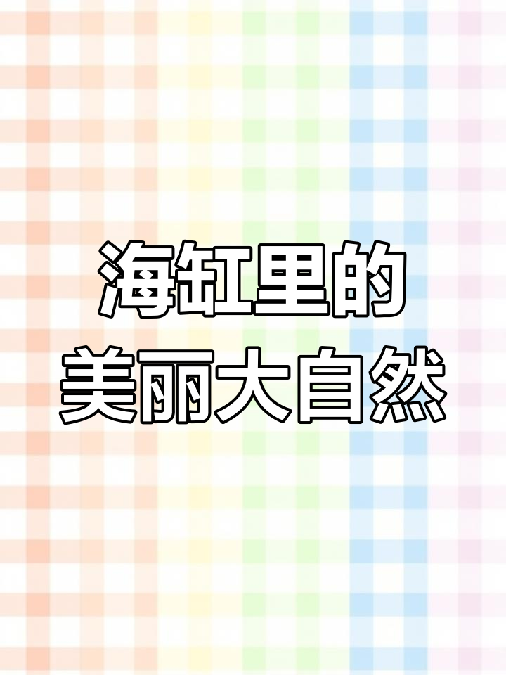 海水鱼缸中的自然奇观,珊瑚与鱼儿共舞