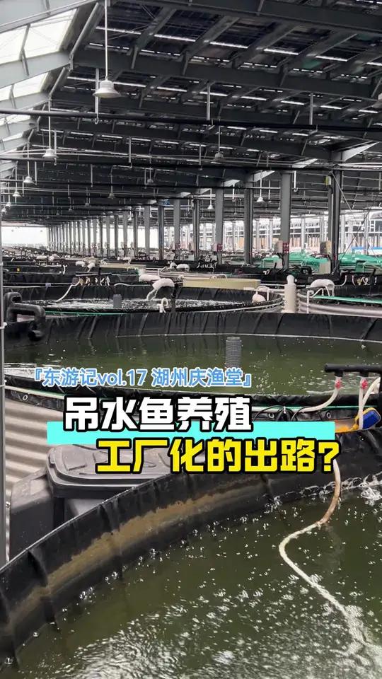 「东游记vlo.17湖州庆渔堂」吊水鱼是工厂化循环水养殖的出路吗？是差异化出路但不是唯一出