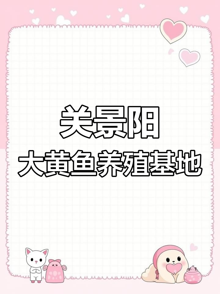 福建关景阳大黄鱼养殖基地,全国最大网箱养殖场揭秘