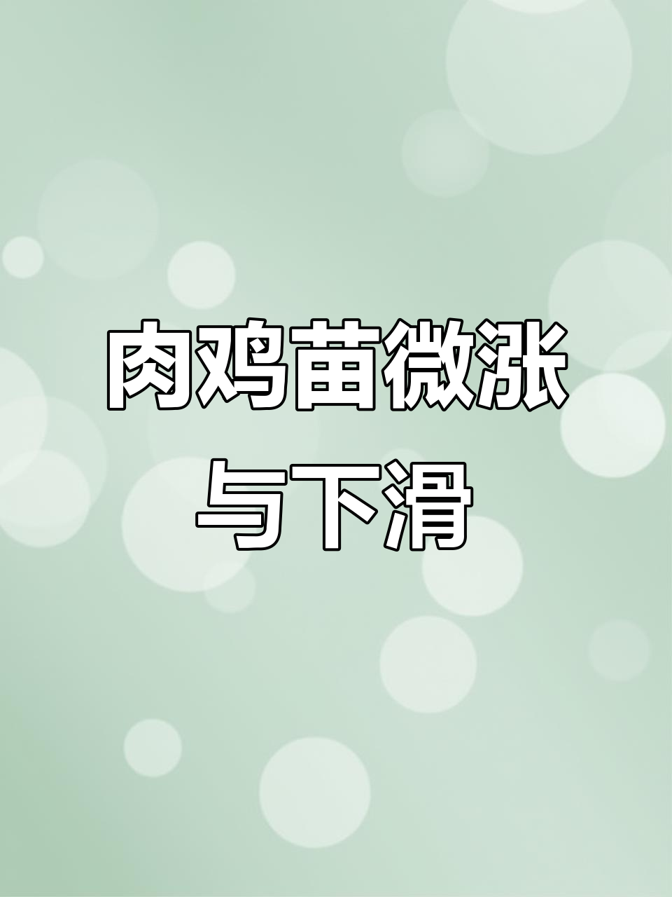 4月25日肉鸡苗价波动,817品种下调5分今晚市场稳