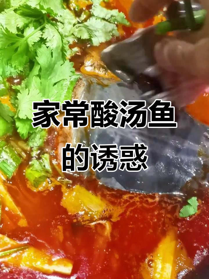 贵州酸汤鱼,家常做法简单又开胃,吃一次就停不下来!