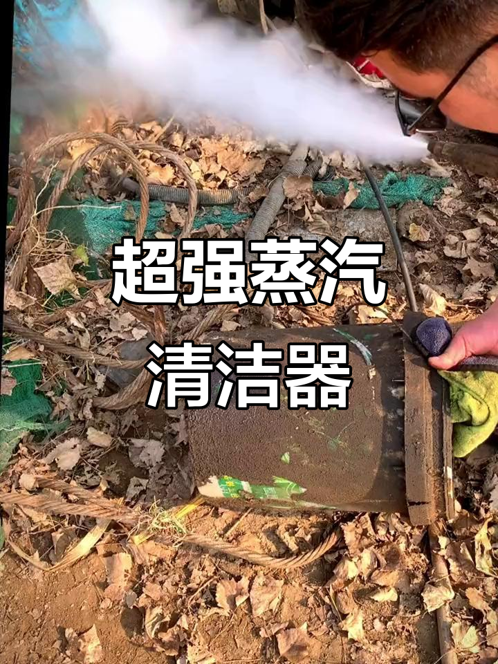 这款蒸汽清洗设备,效果惊人!
