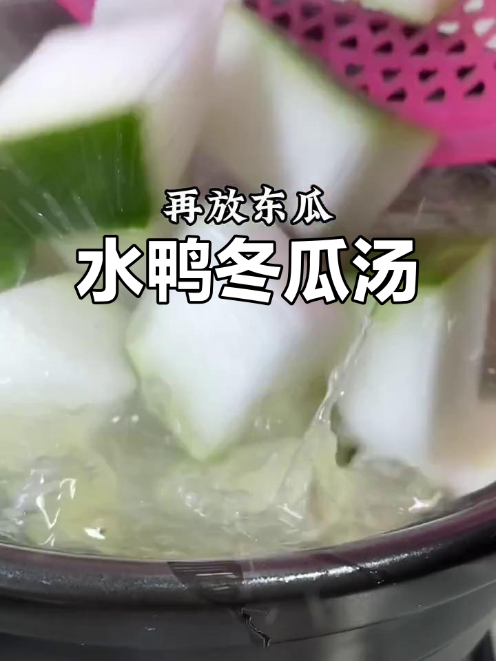 潮汕男人下厨,水鸭冬瓜汤来袭