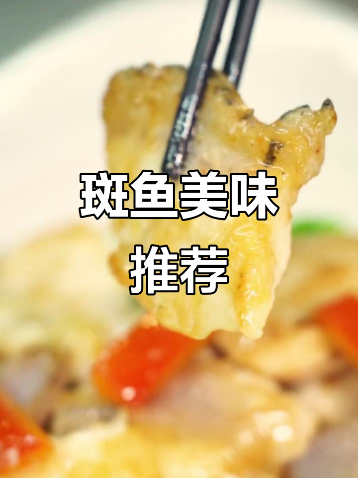 龙趸鱼，鲜美嫩滑，错过可惜！