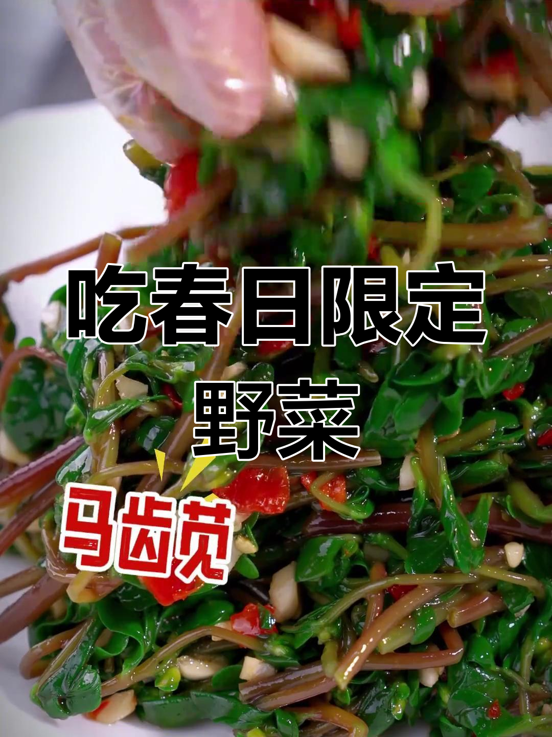 春天里的野菜大餐,山东人最爱的美味都在这里