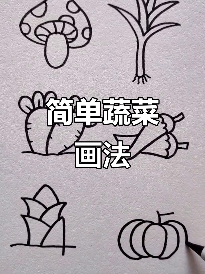 亲子蔬菜简笔画,0-5学起来