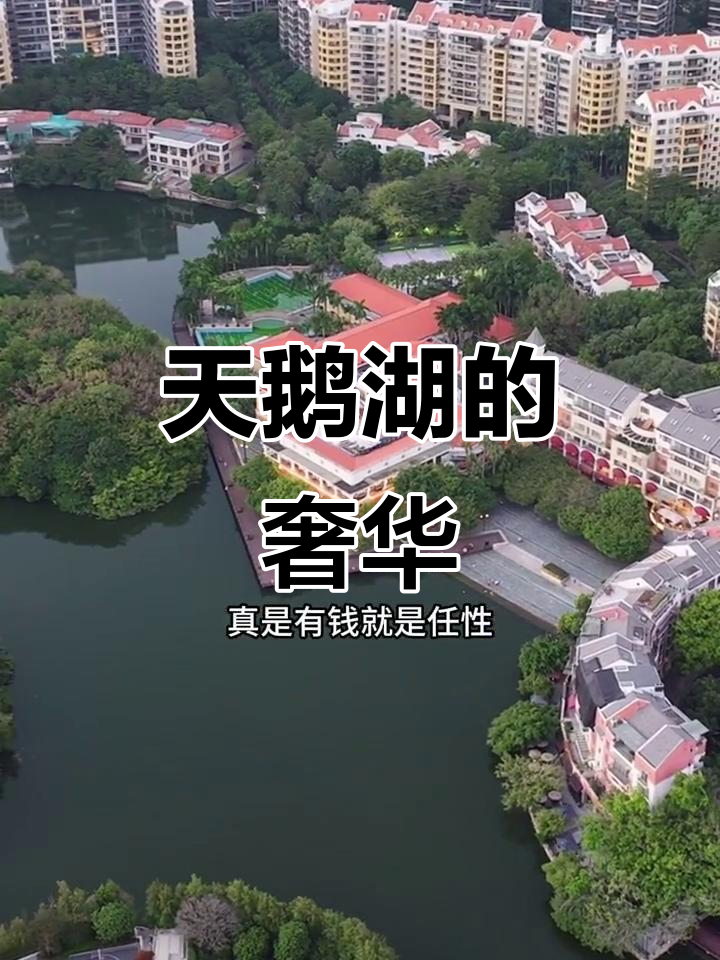 波托菲诺,80万平米的天鹅湖畔,尽显奢华与宁静