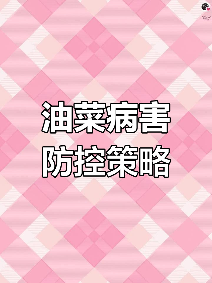 油菜病虫害防治全攻略:从种子处理到轮作技巧