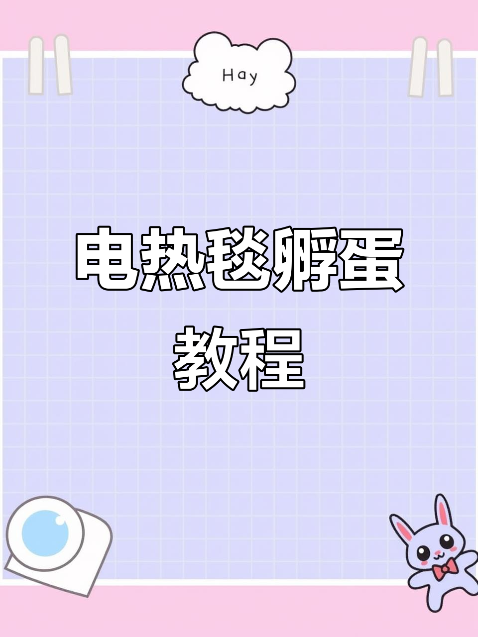 电热毯孵化小鸡,轻松学会!