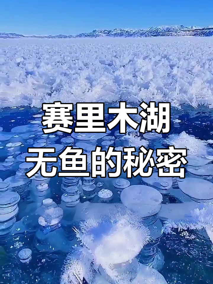 赛里木湖为何没有鱼?水质清澈到连原生鱼类都无法生存