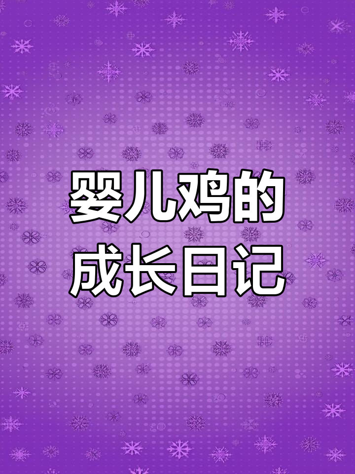 这只“钵钵鸡”小鸡太可爱了,像小孩一样需要哄