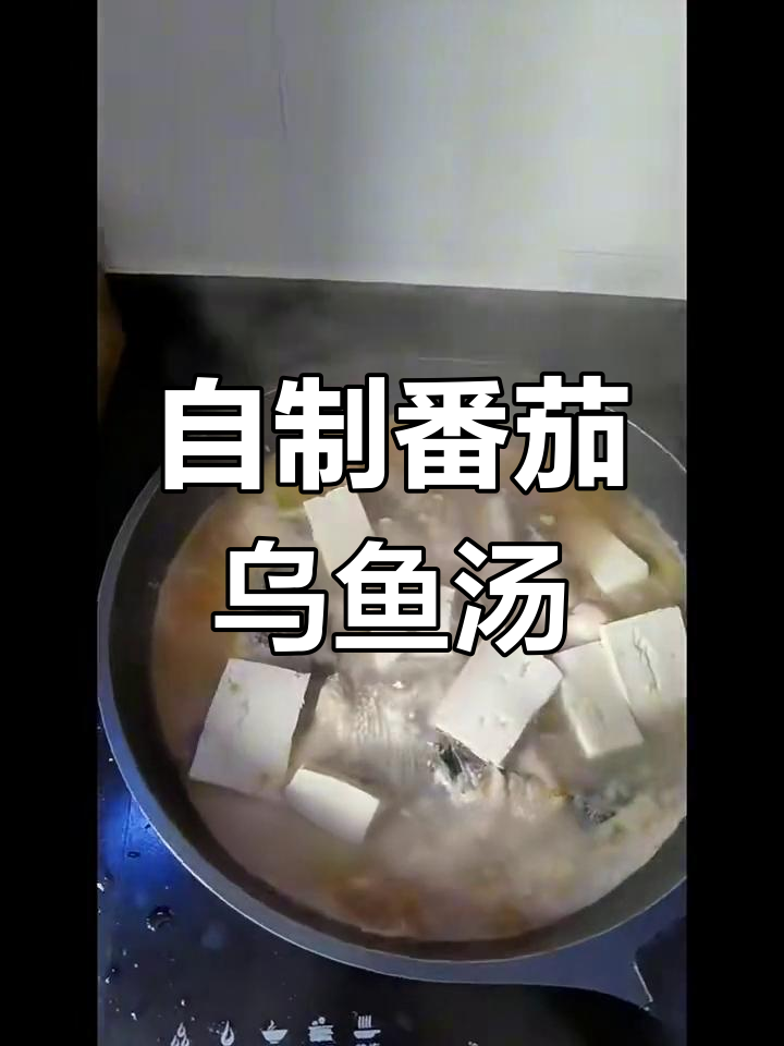 番茄乌鱼汤,家常美味轻松做