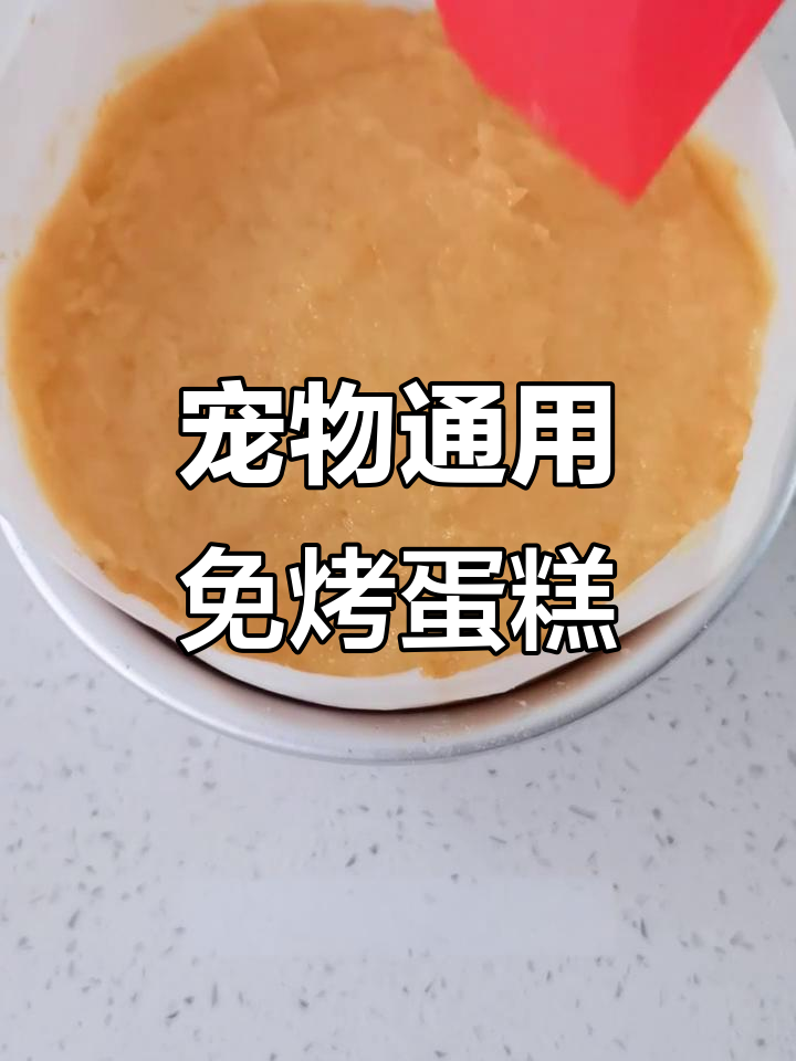 猫狗都能吃的免烤生日蛋糕，简单又美味