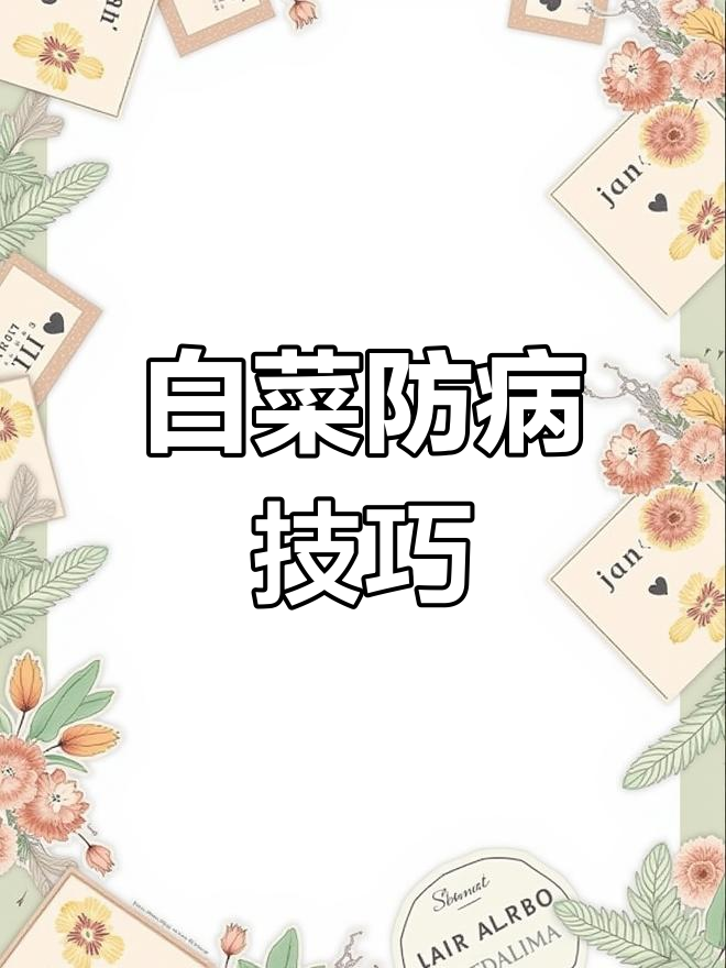 白菜白斑病防治全攻略
