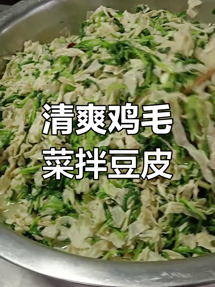 鸡毛菜拌豆皮,清脆爽口又开胃,简单美味不容错过