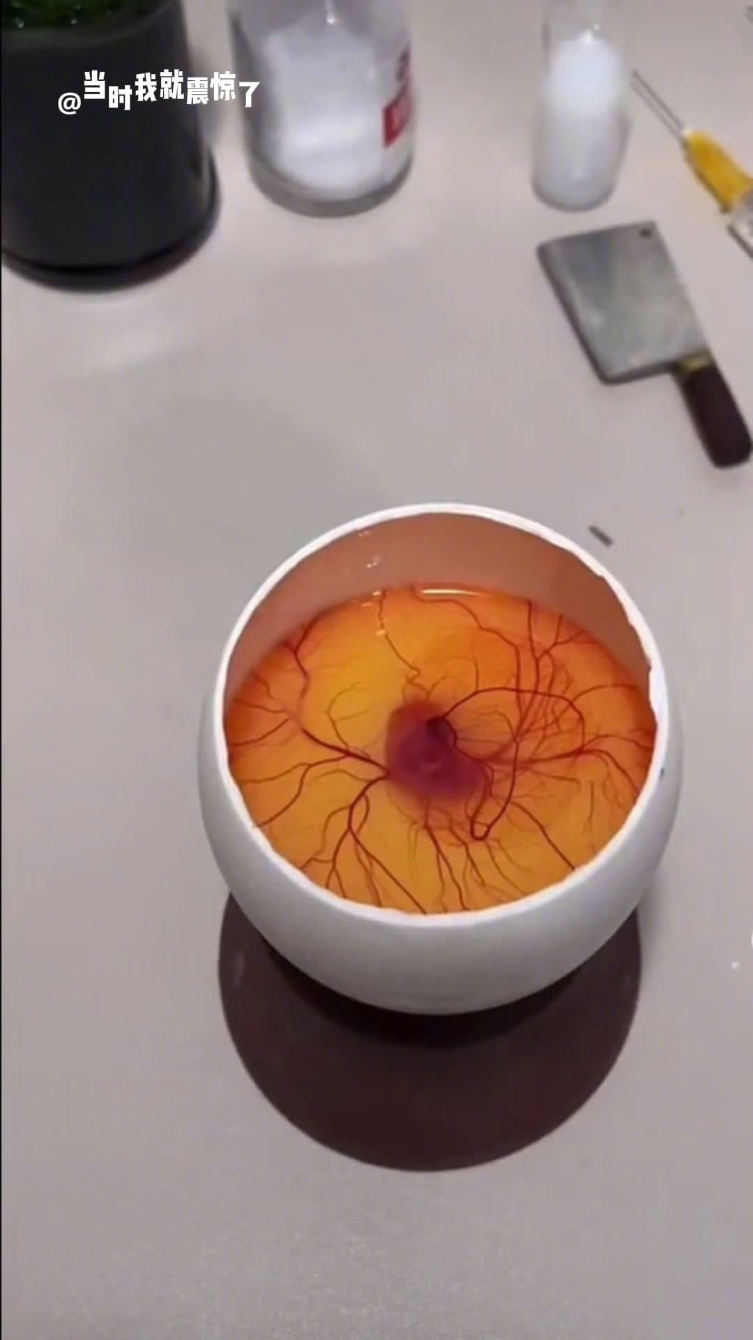 鸡蛋变成小鸡的过程好神奇!从血管的延伸到心脏的跳动再演变成一个完整的形状「团宝」!看完真的