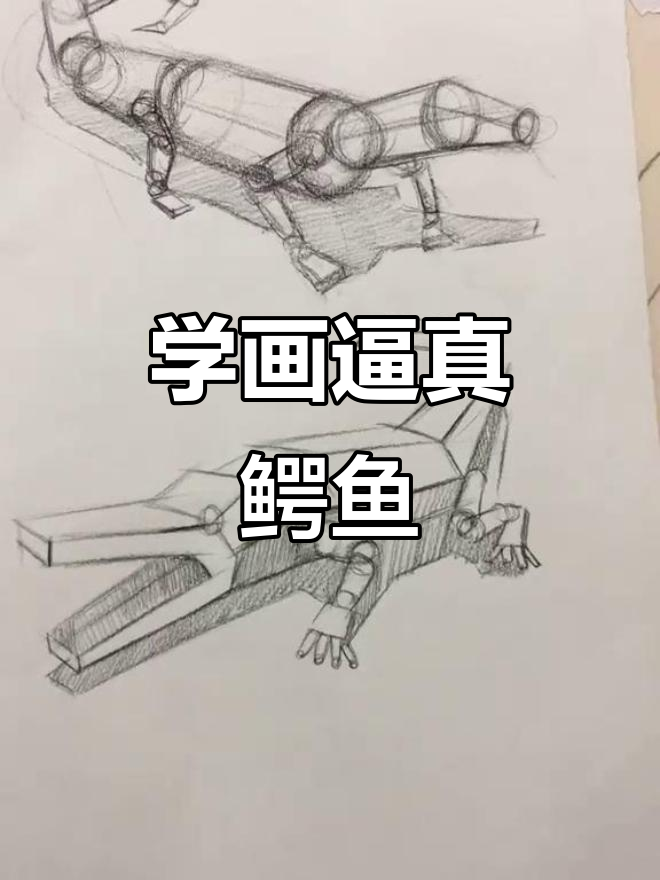 素描技巧：如何画出栩栩如生的鳄鱼