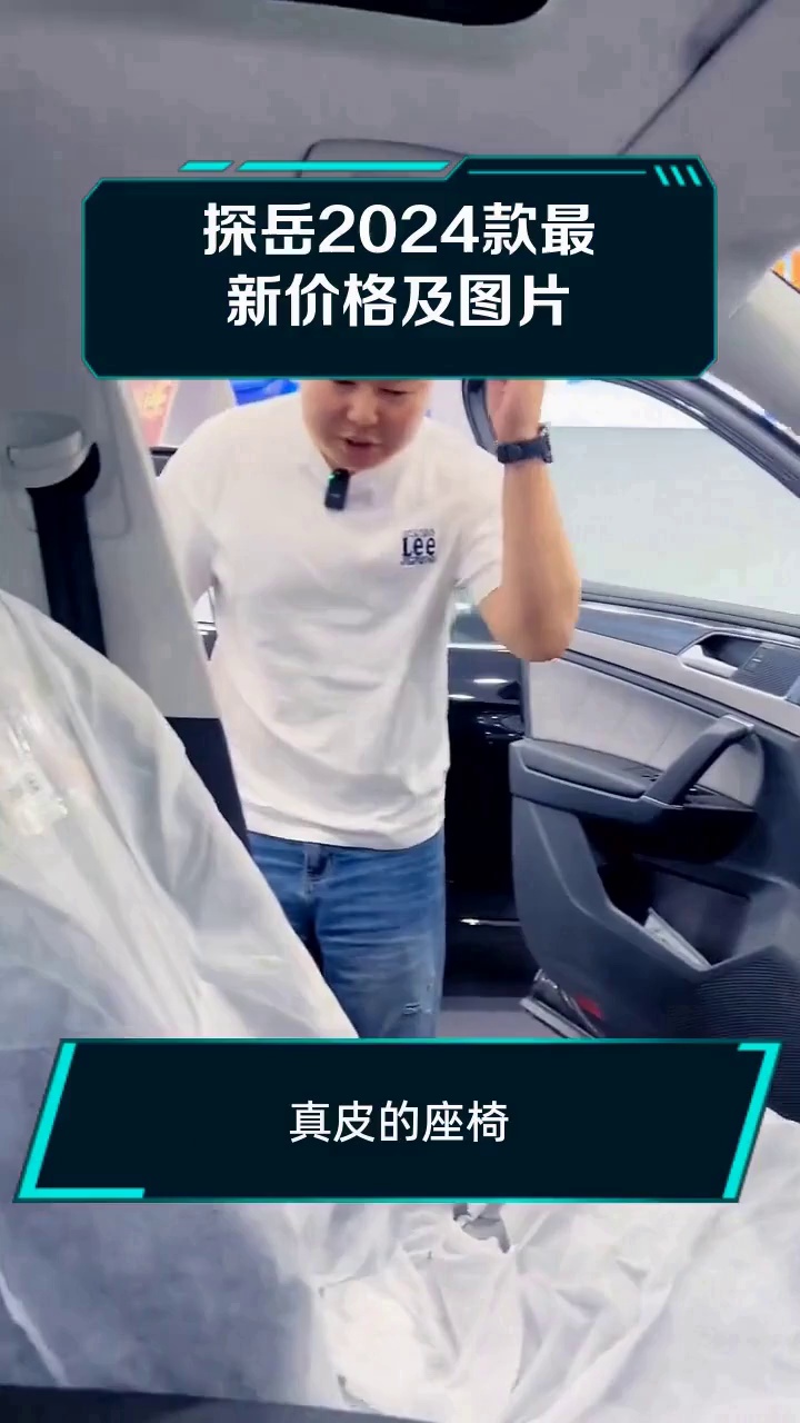 探岳2024款最新价格及图片