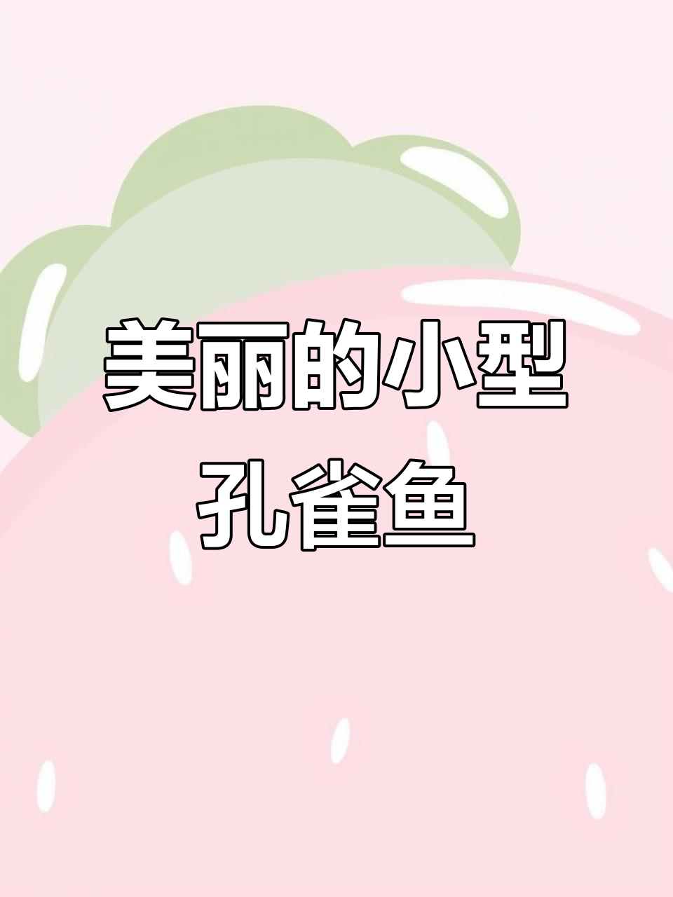 安德拉斯双剑孔雀鱼，色彩艳丽，体型小巧