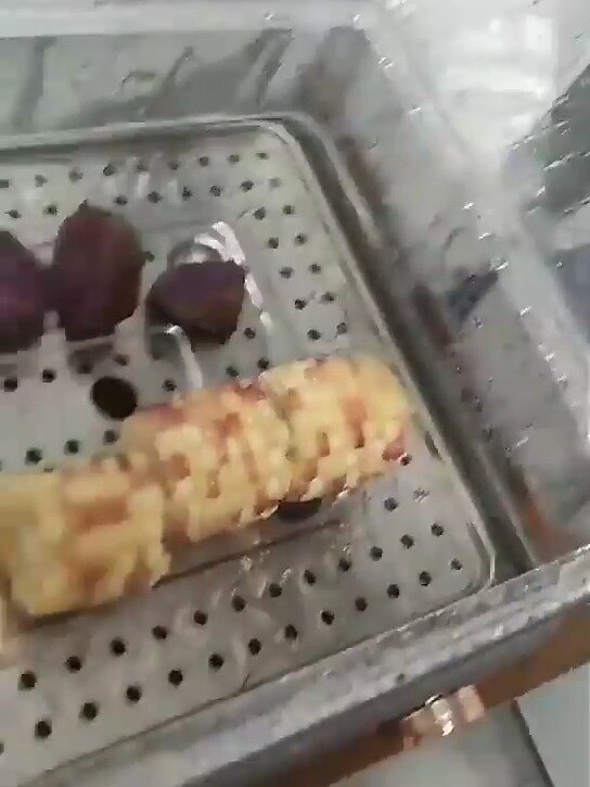 冬天怎么能没有一款好用方便的电蒸锅呢?