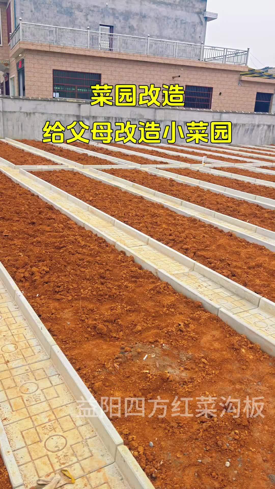 菜园 菜沟板 我的田园生活 农村菜园设计 院子改造