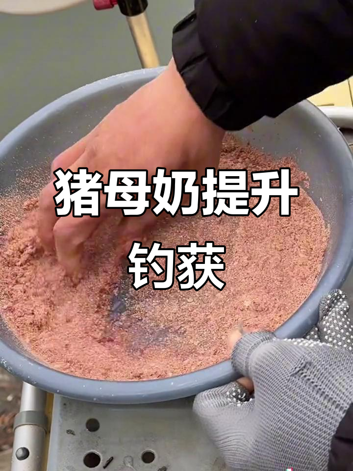 钓鱼必备！猪母奶诱鱼剂让渔获翻倍，轻松开饵