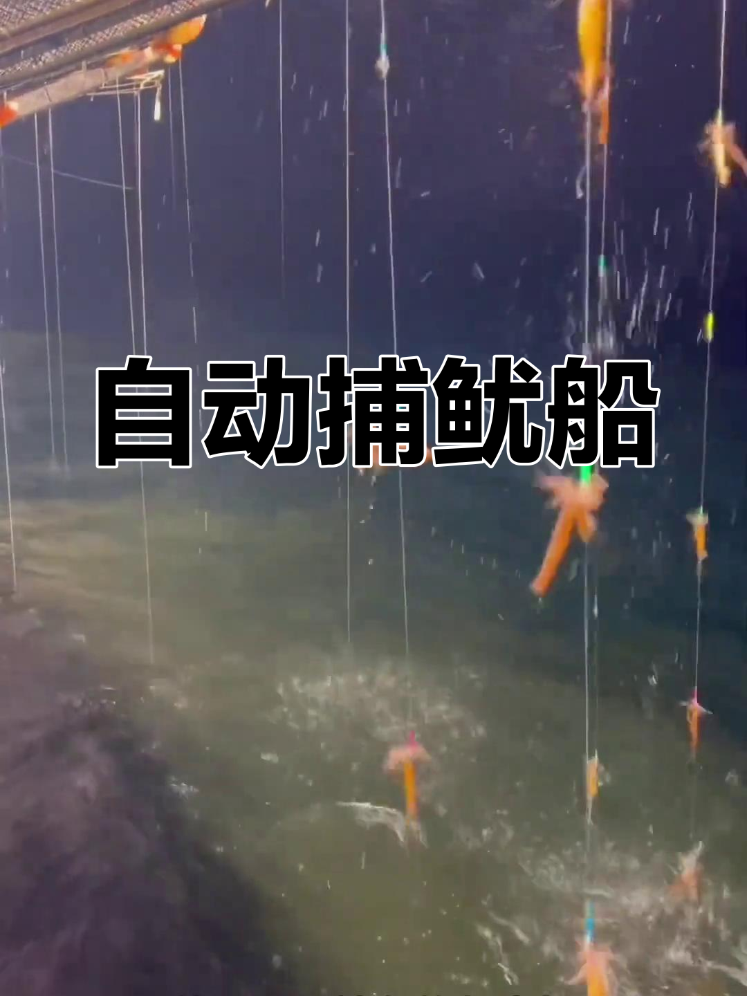 鱿鱼靠光吸引,自动钓船轻松捕获,快速送入舱内