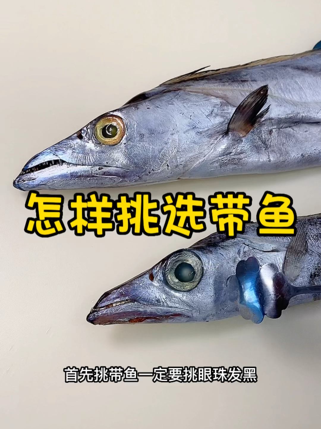 分辨新鲜刀鱼