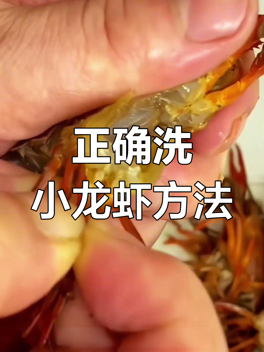 小龙虾清洗全攻略，教你如何正确处理虾头和虾线