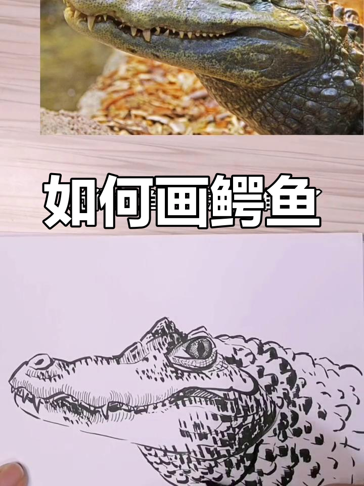 鳄鱼皮肤纹理绘制技巧