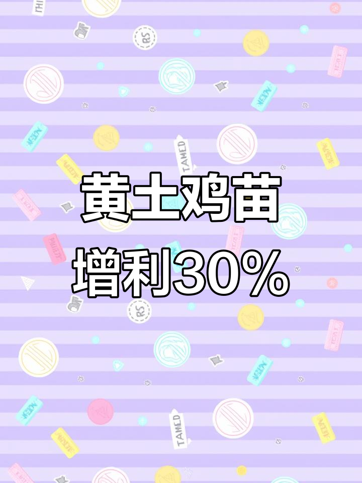 皖南黄土鸡苗助力养殖户增收30%!