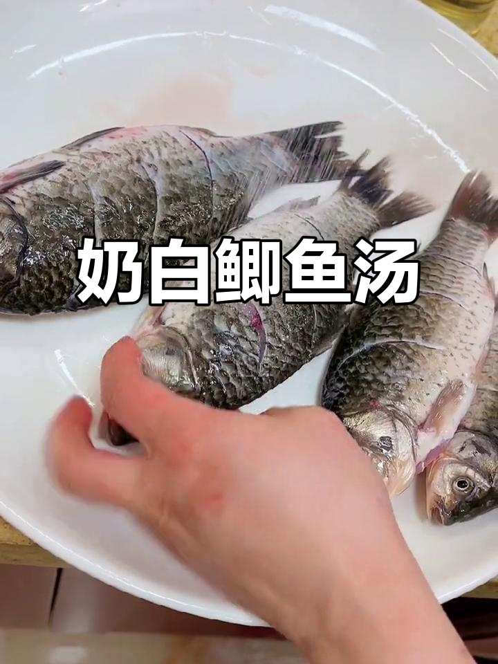 奶白鲫鱼豆腐汤,简单易学,快来试试吧!