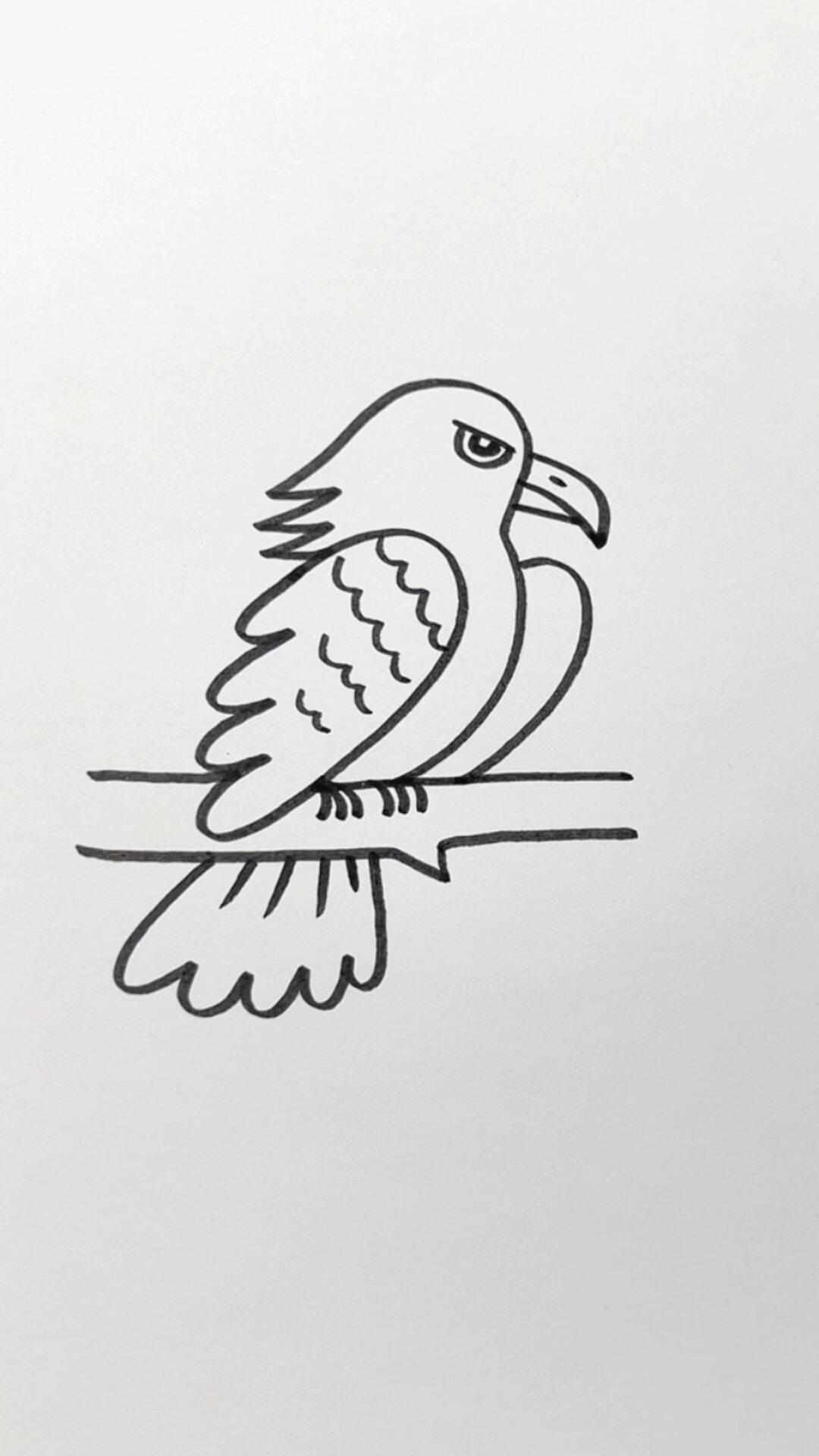 用数字画老鹰简笔画