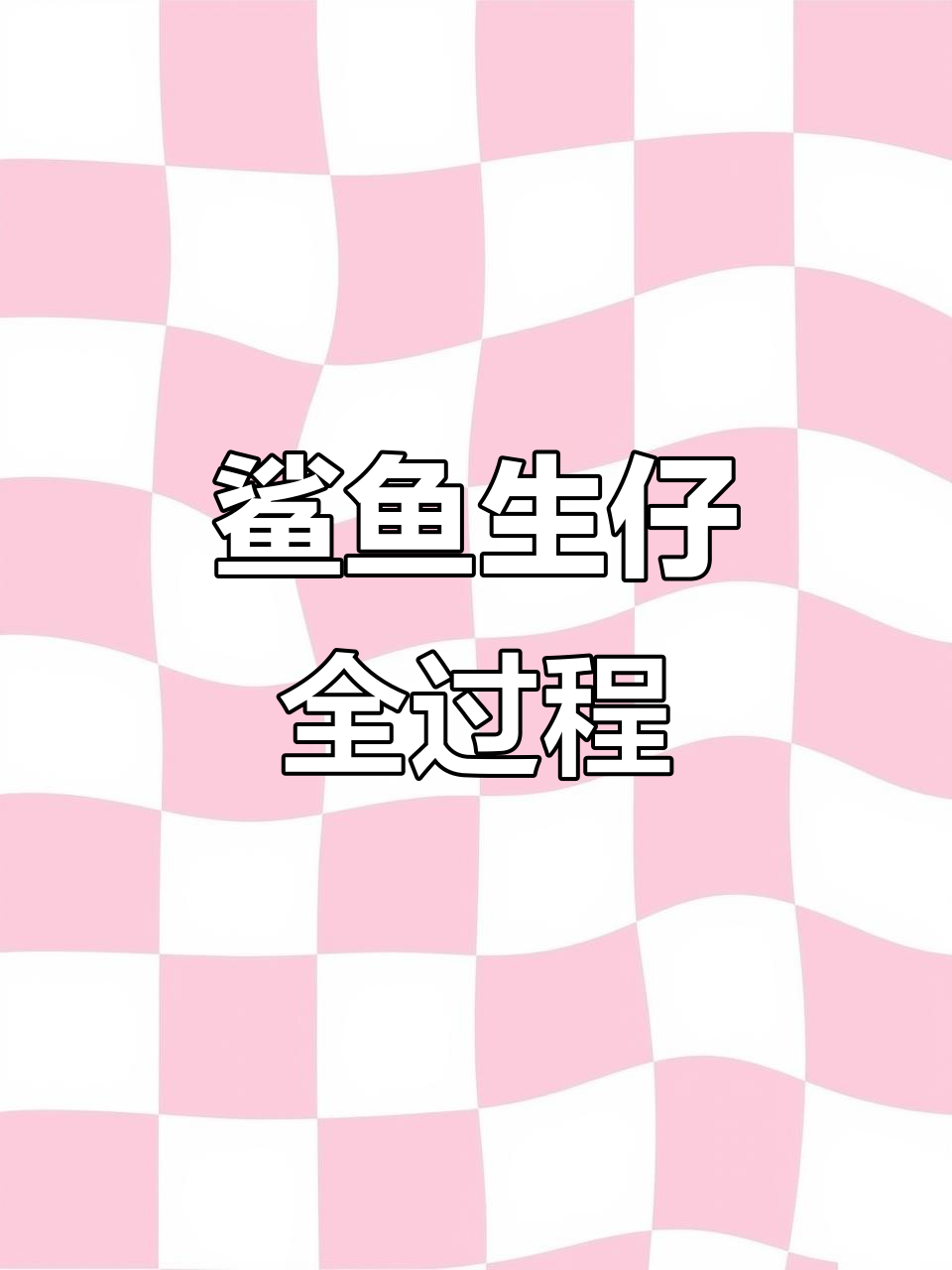 5月6日广东广州网友偶遇鲨鱼产子,员工分开喂养小鲨