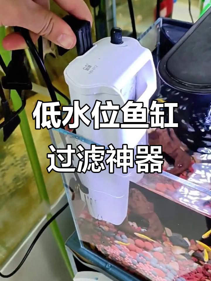 小型低水位过滤器,两种安装方式轻松应对不同场景